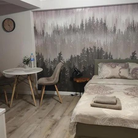Appartamento студио Acacia Varna